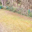 Rasenfläche im Garten von A. Becker in Ramstein-Miesenbach
