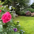 Garten von Familie Schneider in Landstuhl