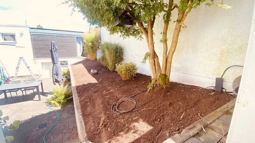 Frisch angelegtes Beet mit Rindenmulch rund um einen Baum