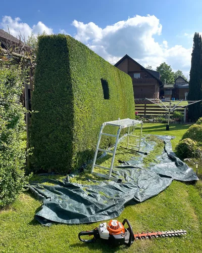 Sauber geschnittene Hecke an einem Gartenweg